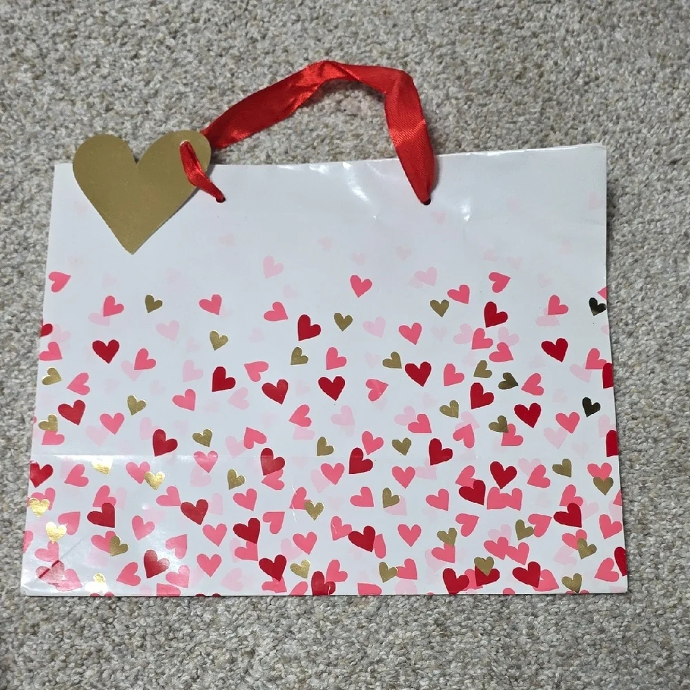 Celebrate It Valentine's Day Gift Bags - Red, Pink, White